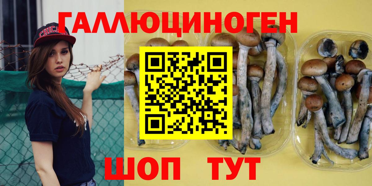 Галлюциногенные грибы мухоморы Трёхгорный