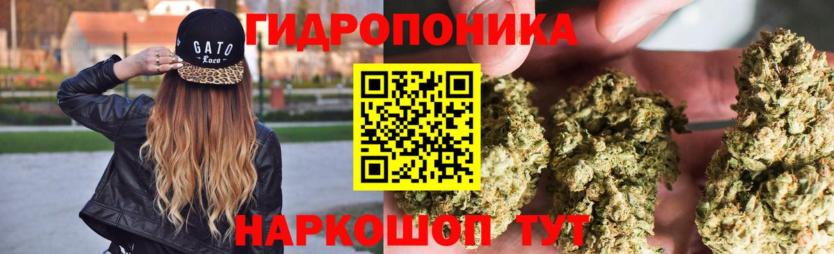 Шишки марихуана конопля Трёхгорный